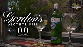 Gordons 0.0 Alcohol Free Gin Review  The Ginfluencers UK