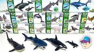 20 NEW AWESOME SEA ANIMALS  - Shark Dolphin Penguin Turtle Orca Whale