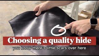 Choosing a quality hide  Know Your Leather