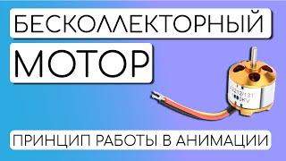 БЕСКОЛЛЕКТОРНЫЙ ДВИГАТЕЛЬ. Как работает? Чем отличаться от щёточного? #бесколлекторный #МОТОР