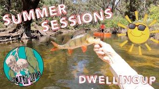 SUMMER FISHING for TROUT and REDFIN at Dwellingup  ROUGH NUTS