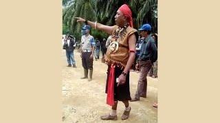 Sengketa Lahan Sawit Antara Dayak dengan PT Sengalen