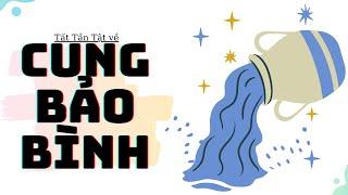 Cung Bảo Bình - Tất Tần Tật về Bảo Bình