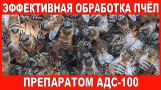 Эффективная обработка пчёл препаратом АДС-100  Processing of bees ADS-100