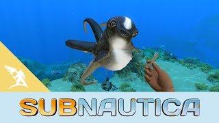 Subnautica Cuddlefish Update