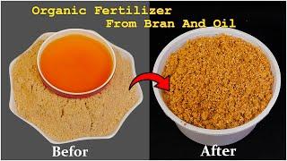 Organic fertilizer for plants  How to make compost from bran and oil