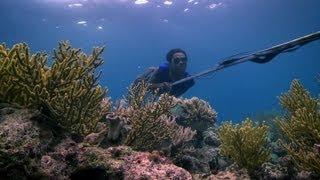 Bajau people of the Banda Sea - Rise of the Continents - Episode 2 Preview - BBC Two