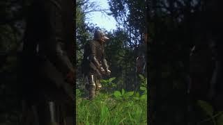 we are thieves  #kingdomcomedeliverance #kcd #gamingshorts #gaming #shorts