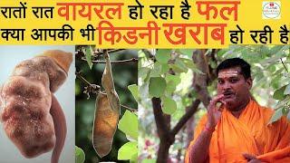 Secret Tips for Strong Kidney  Kidney treatment  Herbal Plant for Kidney Problems  Kidney ka Ilaj