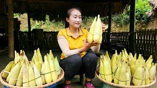 Harvest corn - Boil corn bring it to the market to sell - Gardening  Ly Thi Tam