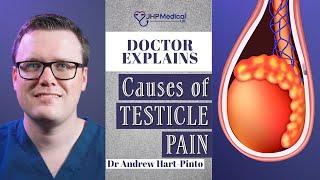 Painful Testicles? This is why...