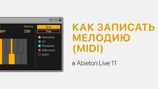 Как записать мелодию MIDI в Ableton Live 11 Ableton Pro Help