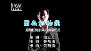 翁立友-因為妳的愛官方KTV版