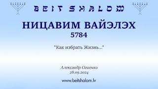 НИЦАВИМ ВАЙЭЛЭХ 5784. Как избрать Жизнь... Александр Огиенко 28.09.2024