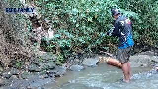 Tasikmalaya Memang Sarangnya Sidat Babon 