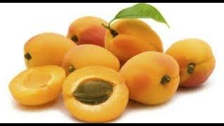 زراعة المشمش من البذور الطريقة الأسهل والأسرع والأروع  Cultivating apricots from seeds easiest