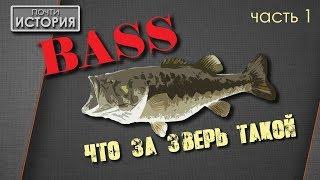 Большеротый окунь  BASS - от икринки до поимки... Micropterus salmoides - часть 1