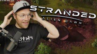 Endlich ist der Release da - Stranded Alien Dawn