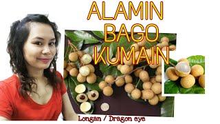 What is Dragon Eye o Longan Fruit  Bakit delikado?