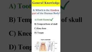 Human Body GK Questions  General Knowledge Questions #shorts #gk #quiz #viral #trending #gkquiz