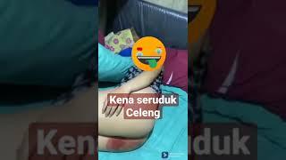 Bokong Cewek diseruduk Celeng