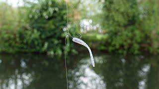 Micro Dropshot Catches BIG Canal Fish