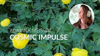 Auf dem Weg zur Reife - Die Menschheit in ihrer Teenagerphase  Cosmic Impulse #24