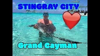 STINGRAY CITY GRAND CAYMAN CARNIVAL ROYAL CARIBBEAN NORWEGIAN CRUISE EXCURSION WILD STINGRAYS