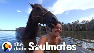 Loyal Horse And Her Mom Have The Strongest Bond  The Dodo Soulmates