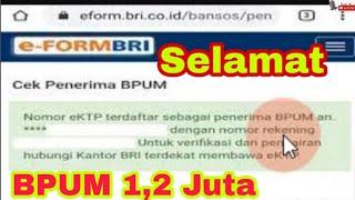 Cara Cek Penerima BPUM di eform bri Pakai KTP