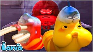 LARVA Season 3 Episode 567 668  Best Cartoons 2022  New Comics  Hilarious Cartoon Compilation