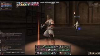 Lineage 2 Solo Adventurer *Manual PVP* 5