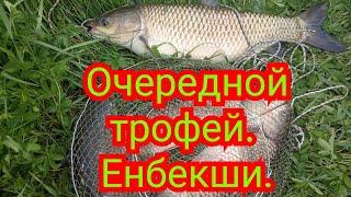 Рыбалка близ Алматы. Енбекши. Сказ о том как мы Тойоту спасали и амуров ловили