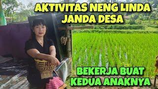 INILAH AKTIVITAS NENG LINDA JANDA DESA DI KAMPUNG MEMCARI NAFKAH KEDUA ANAKNYA