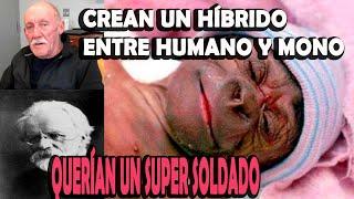 Humancé el Hibrido entre humano y Chimpancé