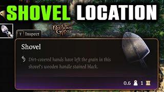 How to Find a Shovel in Baldurs Gate 3  Shovel Location Guide