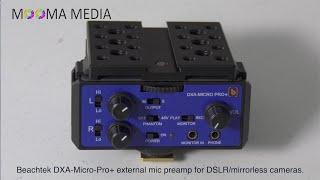 Beachtek DXA-Micro Pro+