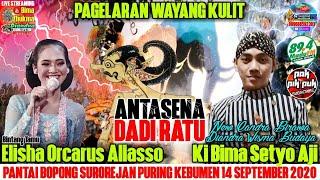 LIVE Wayang Kulit  KI BIMA SETYO AJI - ANTASENA DADI RATU BT. ELISHA ORCARUS ALLASSO