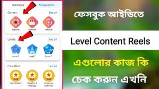 Level Content Reels  Facebook Achievement  Professional dashboard