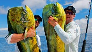 MASSIVE Mahi in Panama - Deep Sea Fishing