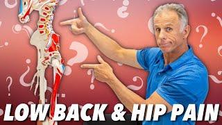 Low Back & Hip Pain? Is it Nerve Muscle or Joint? How to Tell.