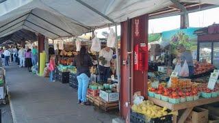 Top 10 Fresh Farmers Markets in Florida 2022