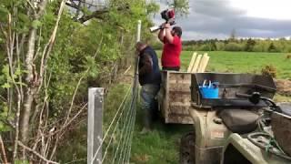 Fencing Using Steel Posts And Clip In Wire