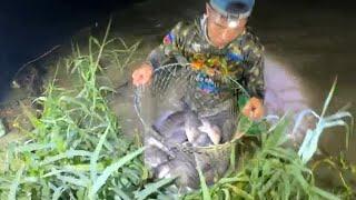 Cast Net Fishing videos   net Fishing in river   Best fishing Videos  #fish #fishing Part 24