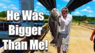 Black Drum Fishing in Florida - HUGE BLACK DRUM  Bridge Fishing