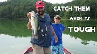 Bass Fishing - Cant Get a Bite? Heres Three Ways To Catch Them