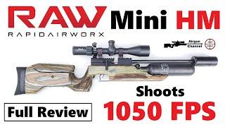 RAW HM1000x Mini LRT Review 22LR Power in an SBR PCP Rifle by Rapid Air Worx