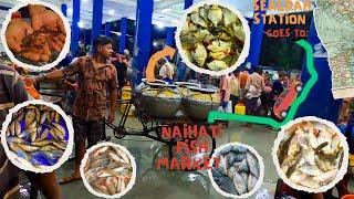 Naihati Fish Seed Market Prices at the Beginning of Rainy Season  Naihati Small Fish Market 2024