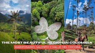 The most beautiful region in Colombia  El Valle del Cocora