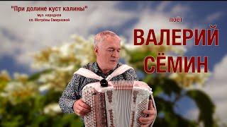 При долине куст калины. Поёт под баян Валерий Сёмин  Красивая песня из прошлых времён ️